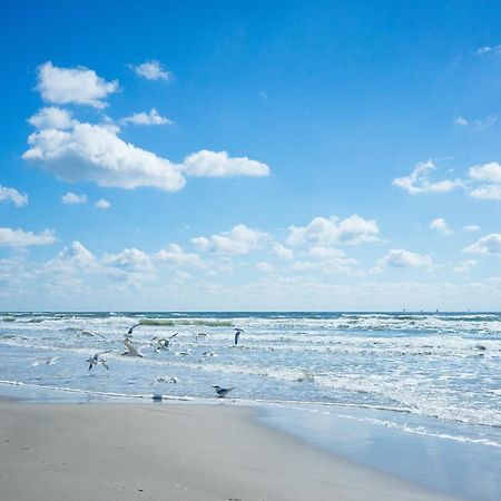 King'S Cove 5 Min To Beach, Bbq, King Bed Corpus Christi Exteriör bild